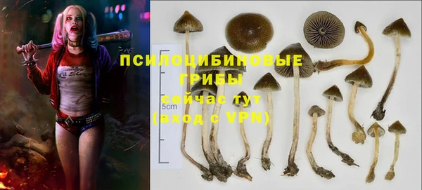 дживик Волоколамск