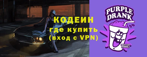 гидра Володарск