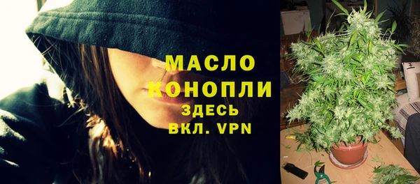 гидра Володарск