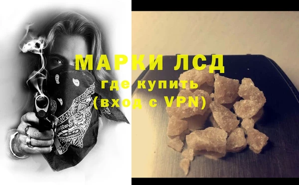 гидра Володарск