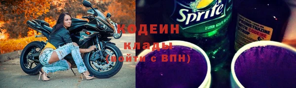 гидра Володарск