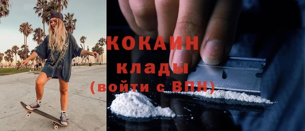 гидра Володарск