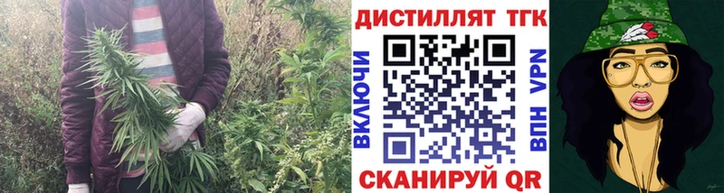 ТГК концентрат  Курган 