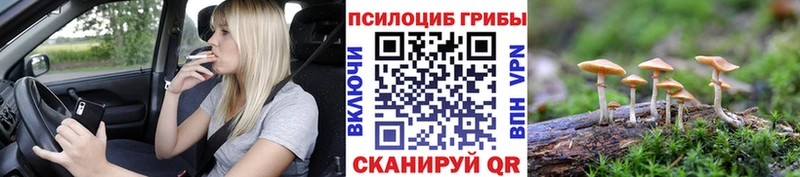 Галлюциногенные грибы MAGIC MUSHROOMS  Курган 